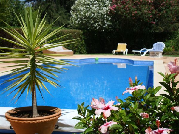 Cost of Pool Terrace Renovation in Redmond