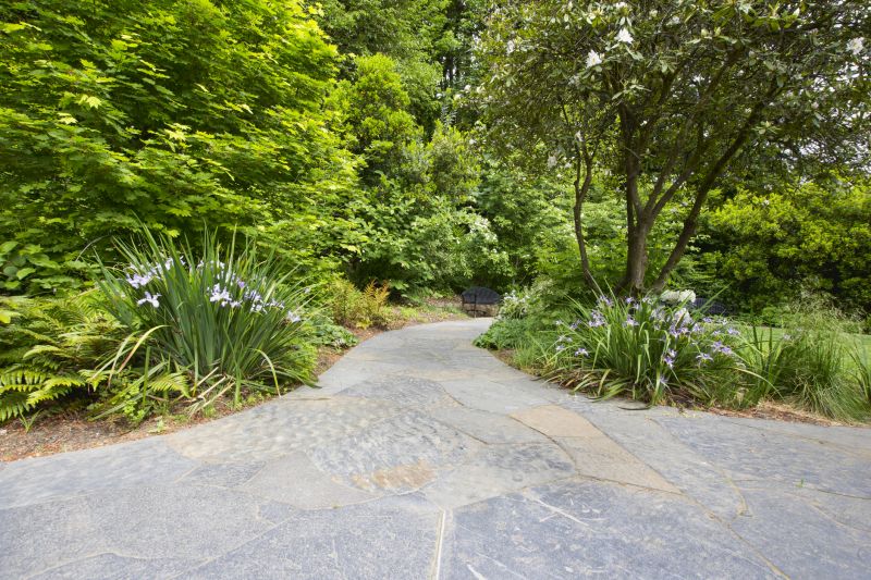 Natural Stone Paver Path