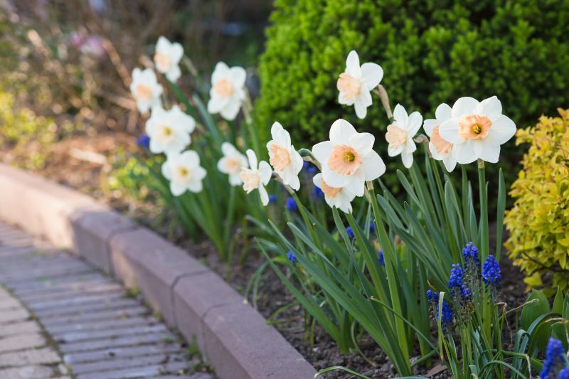 Early Spring Planning